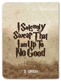 Minitry Of Magic Custom Passport Cover